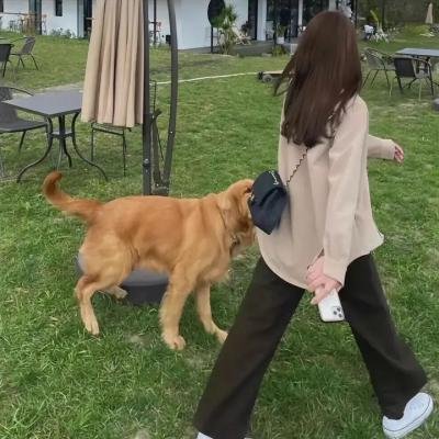势不两立粤语